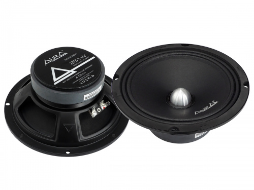 Акустика AurA  SM-C804 v3