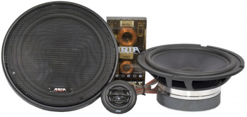 Акустика ARIA AE-165.2C